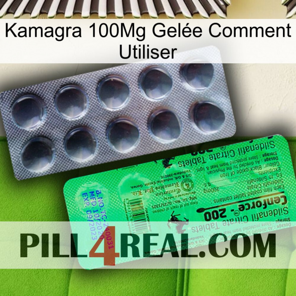 Kamagra 100Mg Gelée Comment Utiliser new04